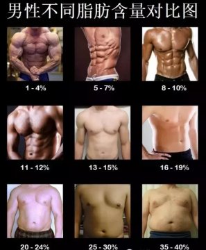 男性体脂20%真人图，男性体脂20%是先减脂还是增肌